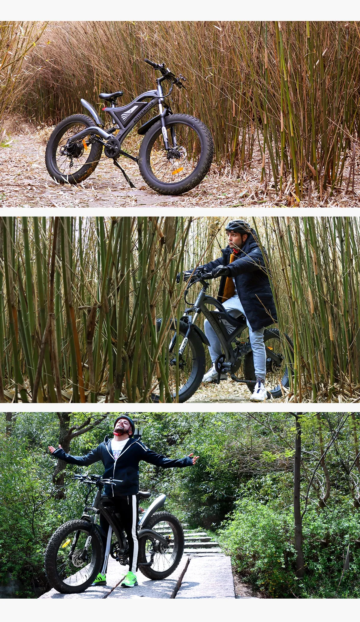 AostirMotor All Terrain Electric Mountain Bike S18