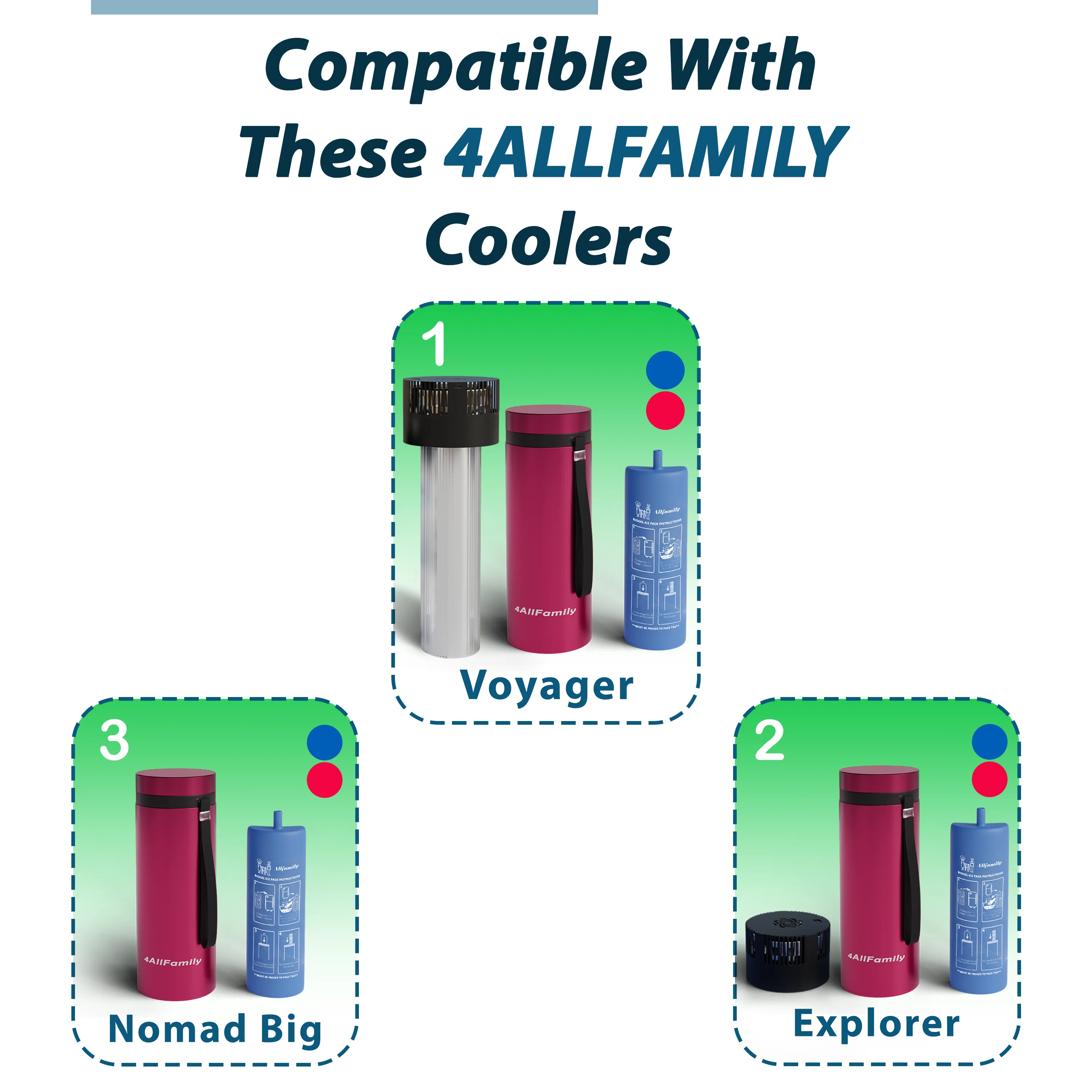 Carrying Bag for Medicine Coolers