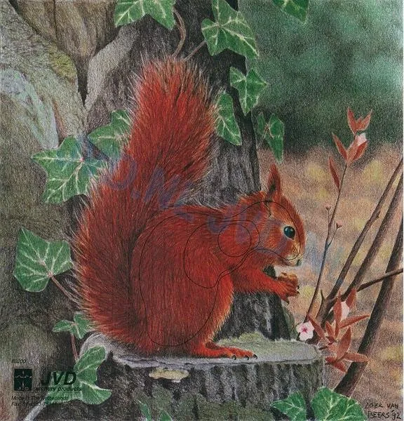 Target Face Squirrel