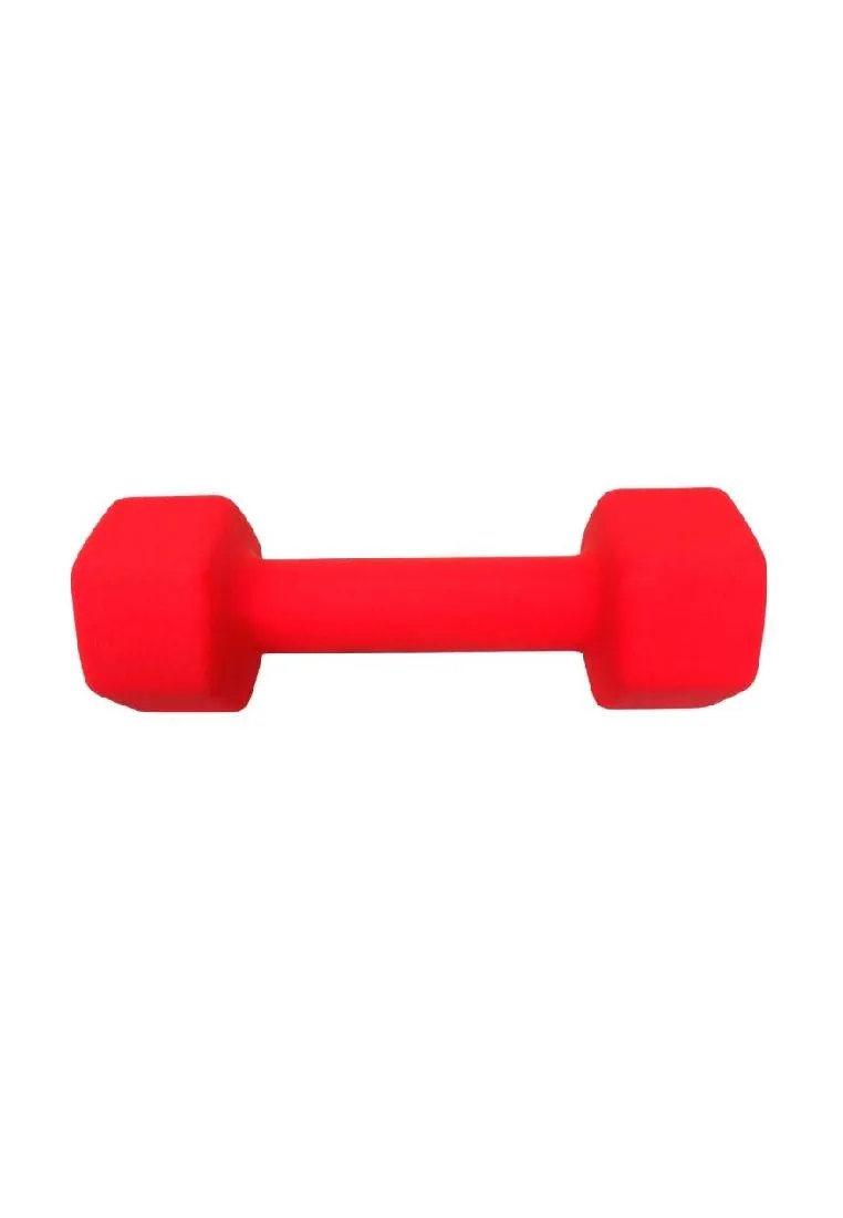 Vinyl Dumbbell 10Lb.