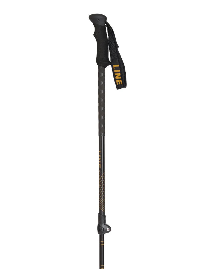 Vision Ski Poles - Black Gold