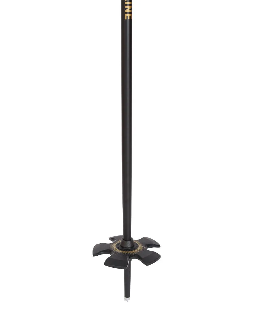 Vision Ski Poles - Black Gold
