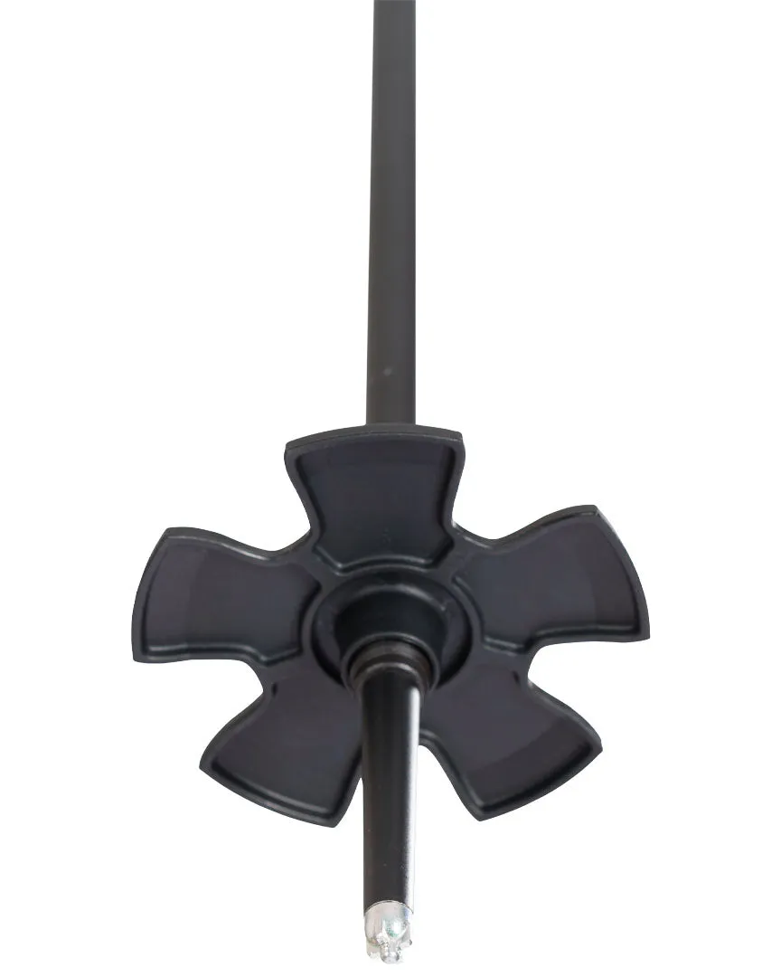 Vision Ski Poles - Black Gold