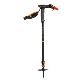 Whippet Ski Pole